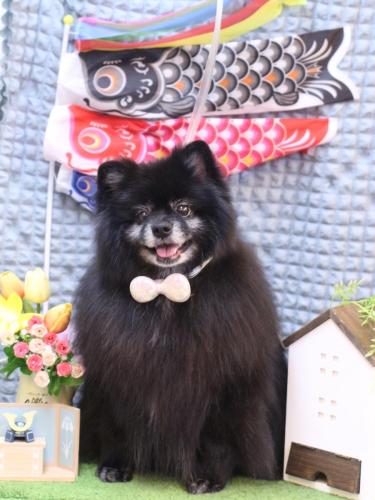 20230520ふわりちゃん